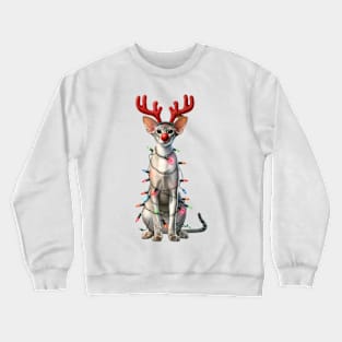 Christmas Red Nose Oriental Shorthair Cat Crewneck Sweatshirt